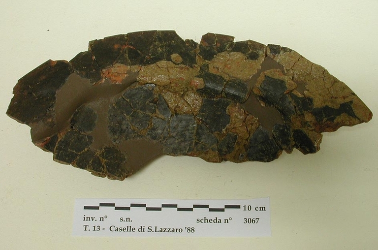 caselle-3067 dp _1_1